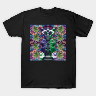 tropical rave with the sabine dudettes T-Shirt